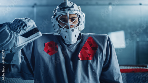 Canvas Print Ice Hockey Rink Arena: Portrait of Brutal Professional Goalkeeper, Wearing Goaltender Mask, Looking at Camera Seriously