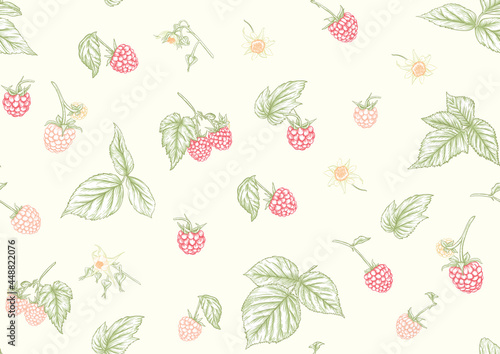 Raspberry. Ripe berries on branch. Seamless pattern, background. Graphic drawing, engraving style. Vector illustration on black background.