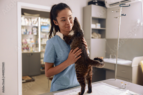 Canvas Print Asian veterinarian intern in blue uniform hugs tabby cat at table in clinic