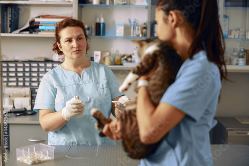 Veterinarian with bottle of medicine and young assistant holding tabby cat in clinic