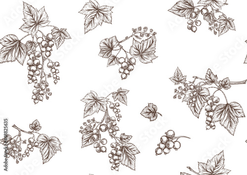 Fototapeta Blackcurrant, redcurrant