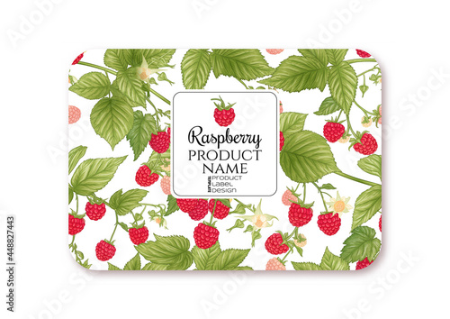 Raspberry. Ripe berries on branch. Template for product label, cosmetic packaging. Easy to edit. Graphic drawing, engraving style. Vector illustration..