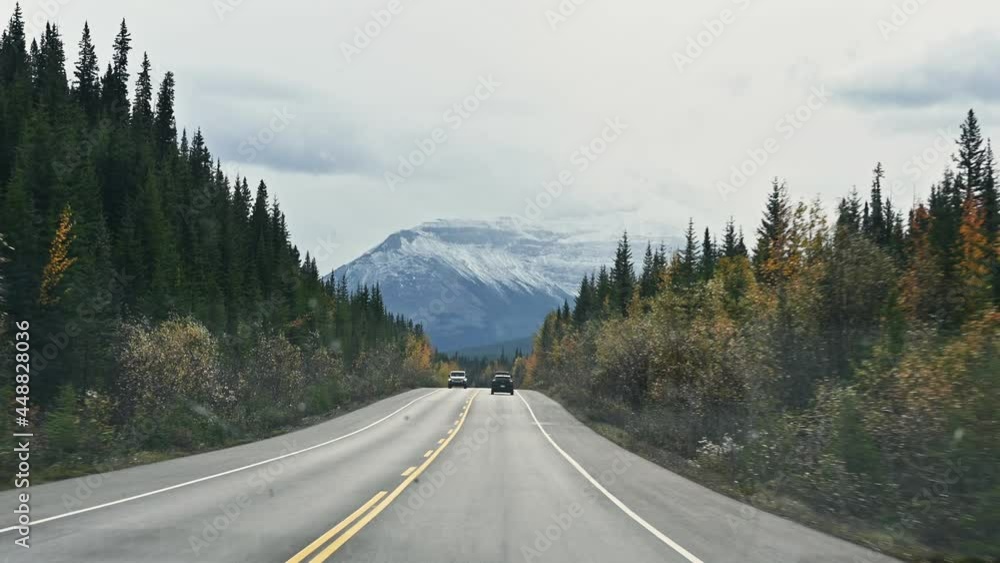 Car driving on asphalt road with Rocky mountains and pine forest on gloomy day at national park Car driving on asphalt road with Rocky mountains and pine forest on gloomy day at national park