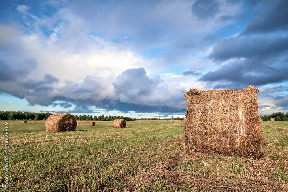 Field with haystacks. Field landscape with rolls and sky. Agriculture concept. Toned photo with copy space.