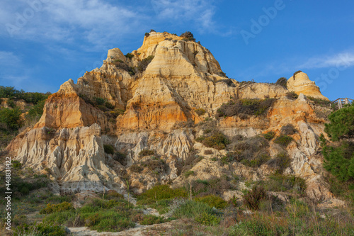 Yellow erosion cliffs overgrown with vegetation on the Matalascanas beach - one of the most beautiful beaches in Spain, Huelva.