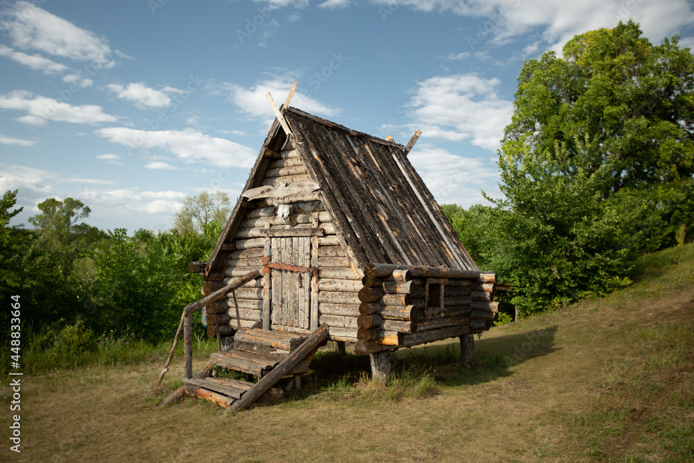 old wooden house near the forest in summer 