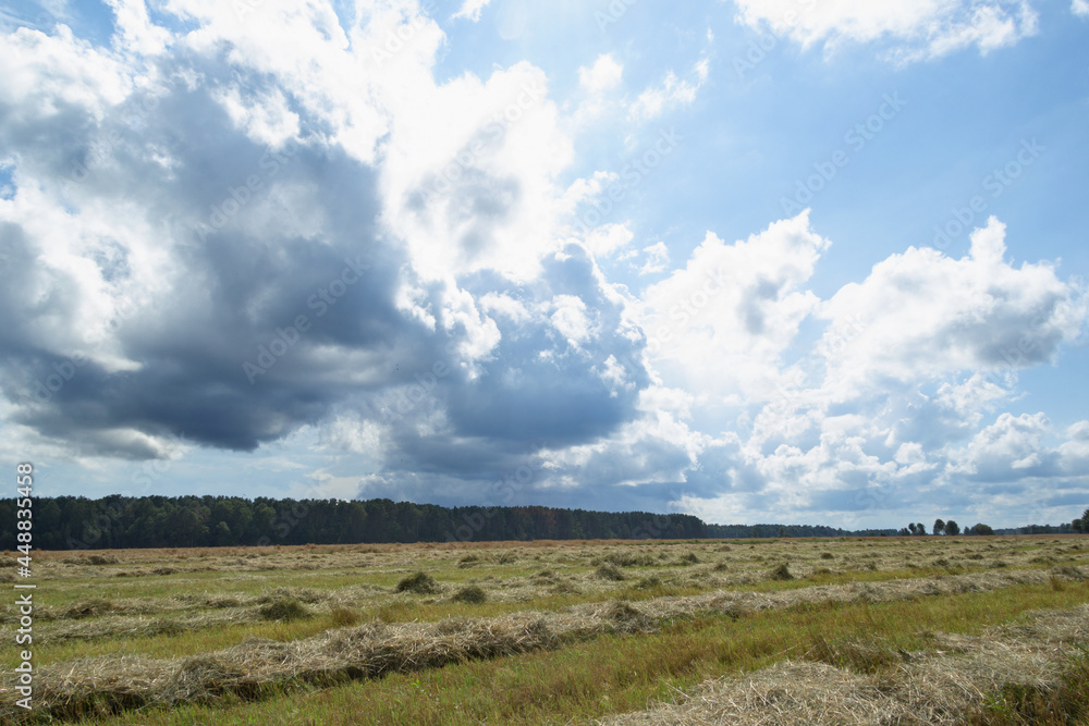 beautiful blue sky with white clouds over a field with mowed wheat