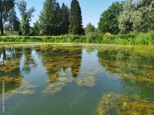 landscape of Pavlovsk Park wooded shore canals summer day