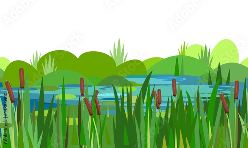 Reed and cattail thickets. Swampy wild landscape with water. Horizontally seamless composition. Grass and bushes. Overgrown bank of a pond or river. Isolated illustration vector