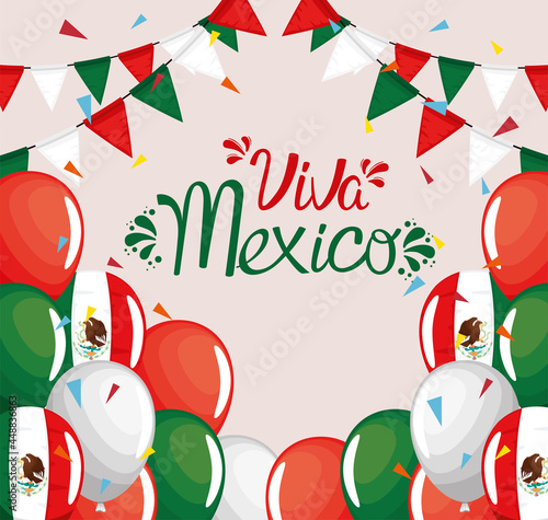 banner of viva mexico
