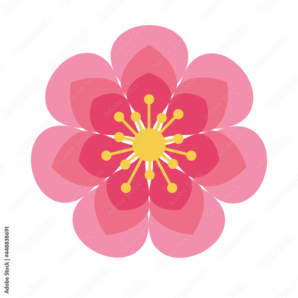 Fototapeta premium pink chinese flower