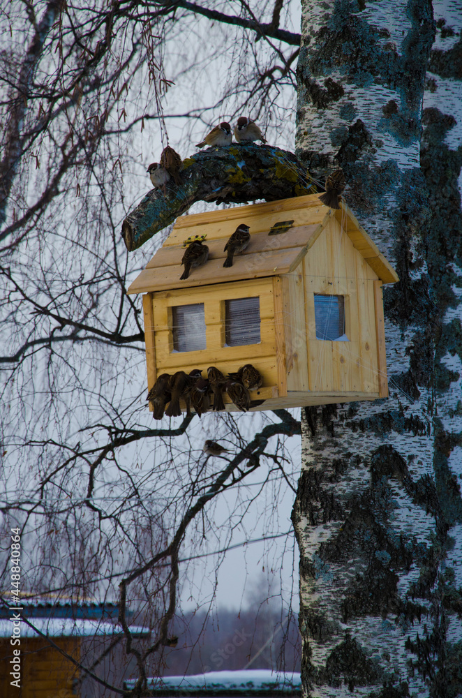 birdhouse in the forest birdhouse in the forest
