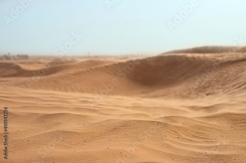 Lonely sand dunes in a strong wind under the sky against the background of arid desert