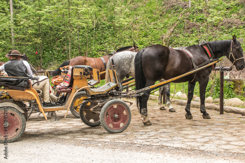 Horse carts at the entrance to the Koscieliska valley waiting for tourists who want to go through the national park to the Ornak shelter. photo