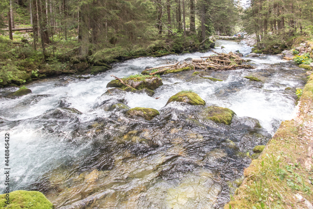 Fototapeta premium Mountain stream flowing along the road in the valley, in the lower parts of the Tatra Mountains