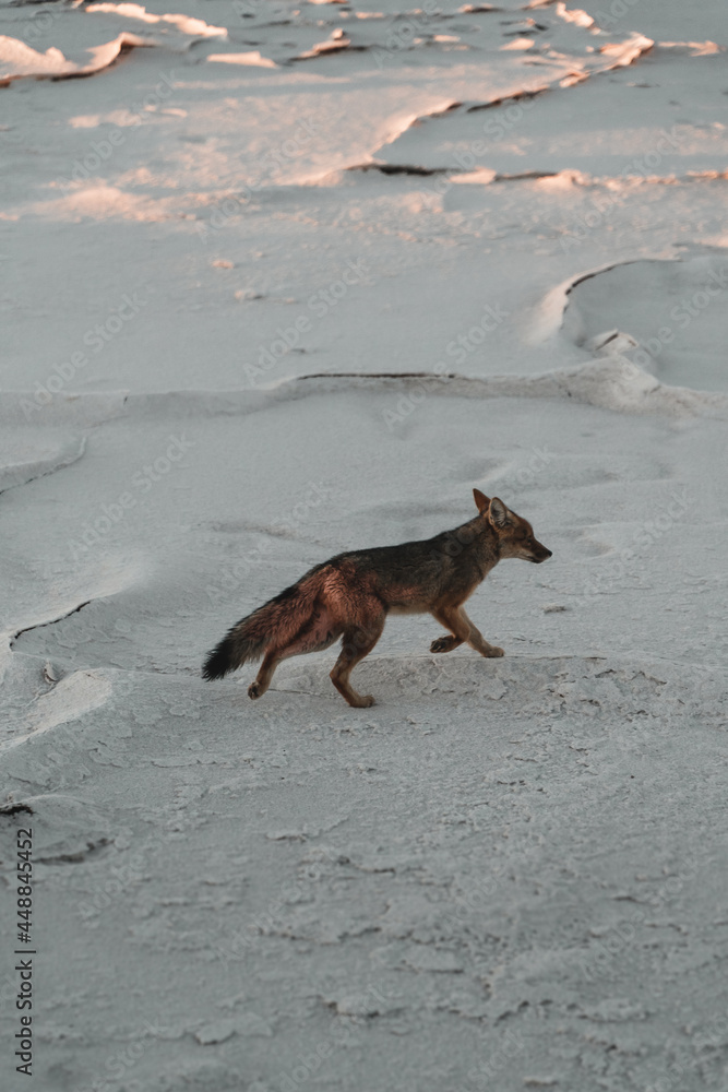 Fototapeta premium Landscape