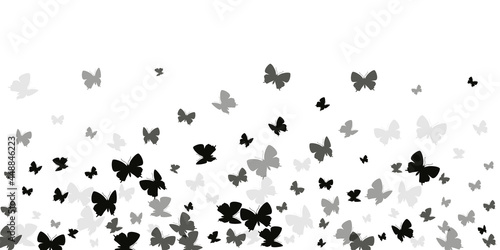 Tropical black butterflies isolated vector wallpaper. Summer cute moths. Detailed butterflies isolated kids background. Tender wings insects patten. Fragile beings.