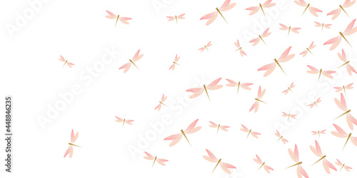 Exotic rosy pink dragonfly isolated vector illustration. Spring beautiful damselflies. Simple dragonfly isolated children background. Delicate wings insects graphic design. Fragile beings