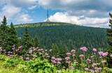 Summer view of Praděd, the fifth-highest mountain of Czech Republic, located in Hrubý Jeseník mountains