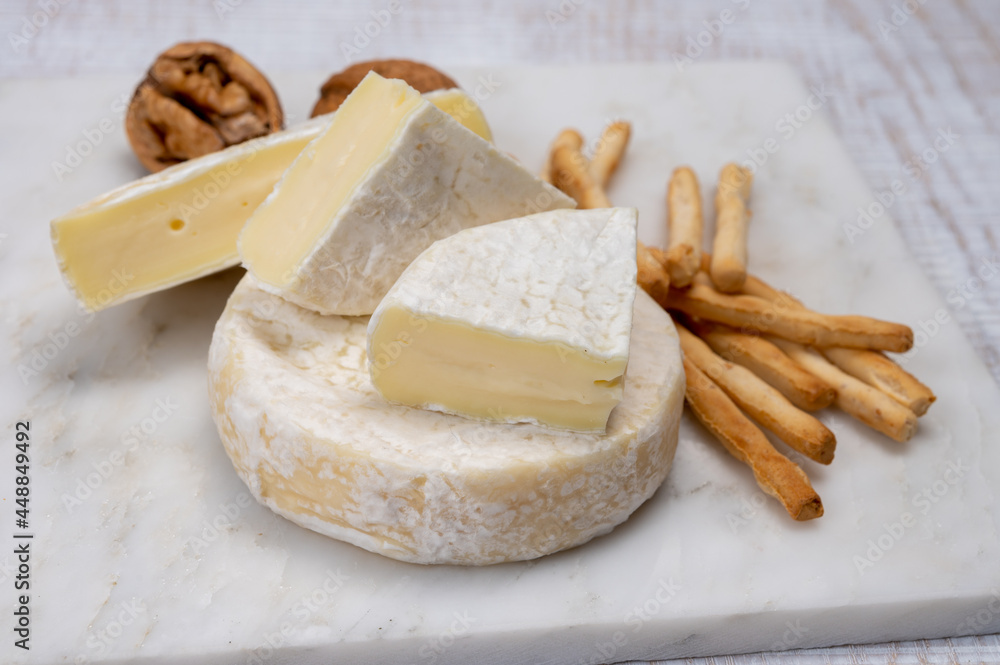 Fototapeta premium Cheese collection, fresh white soft cow cheese with mold from Swiss