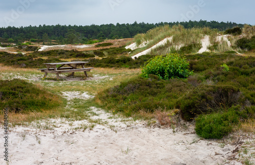 Landscape of Schoorl in North Holland, with bench and sandy dunes
