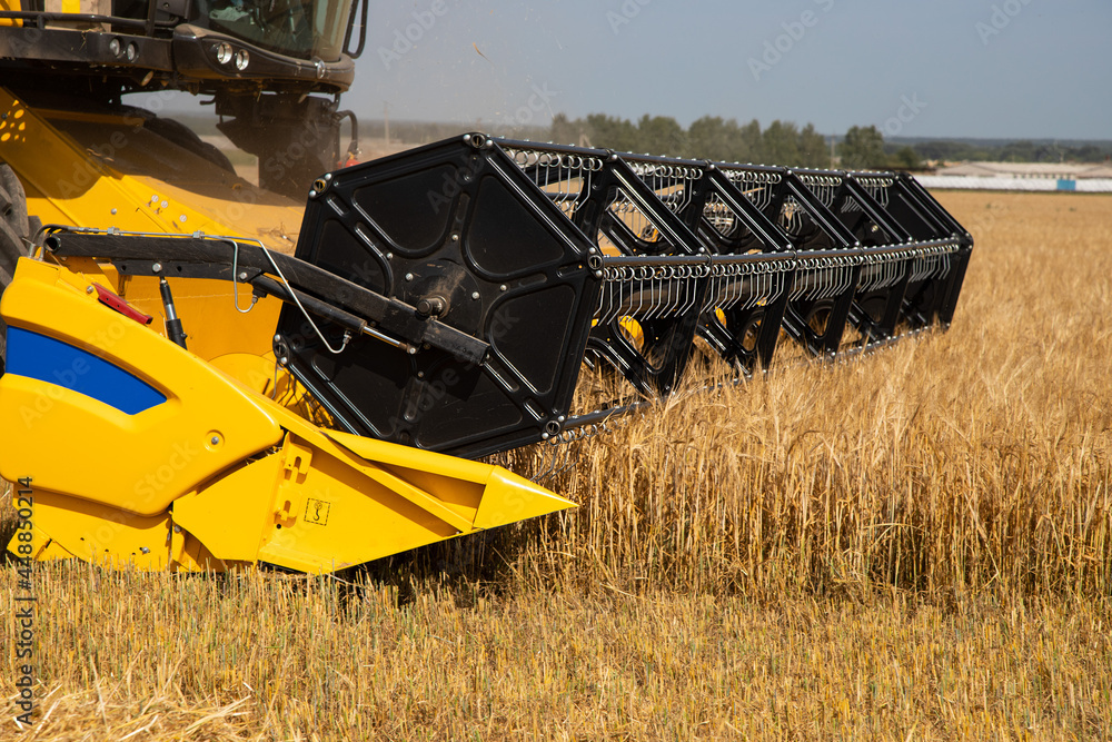 Fototapeta premium Combine harvester harvests wheat closeup.