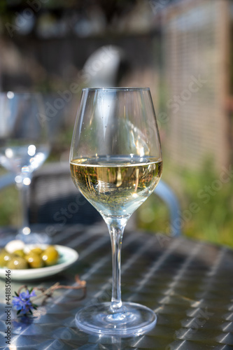 Drinking of dry white wine on open terrace in spring garden
