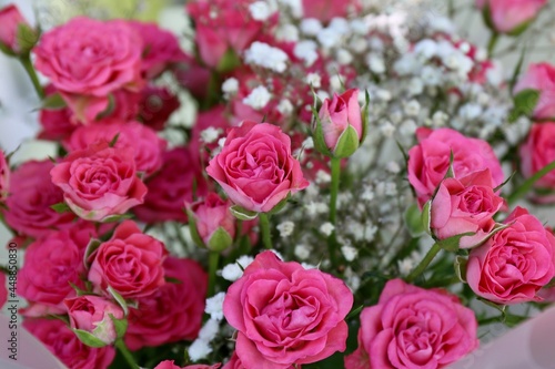 bouquet of pink roses