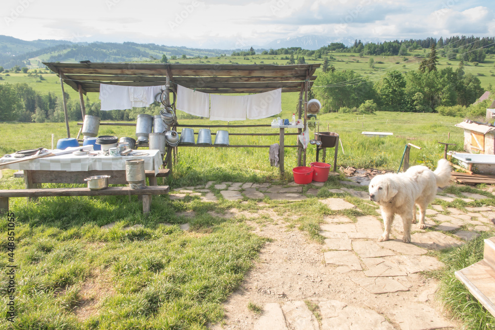 Obraz premium Shepherd's hut in Banska Wyzna in Podhale, Poland.