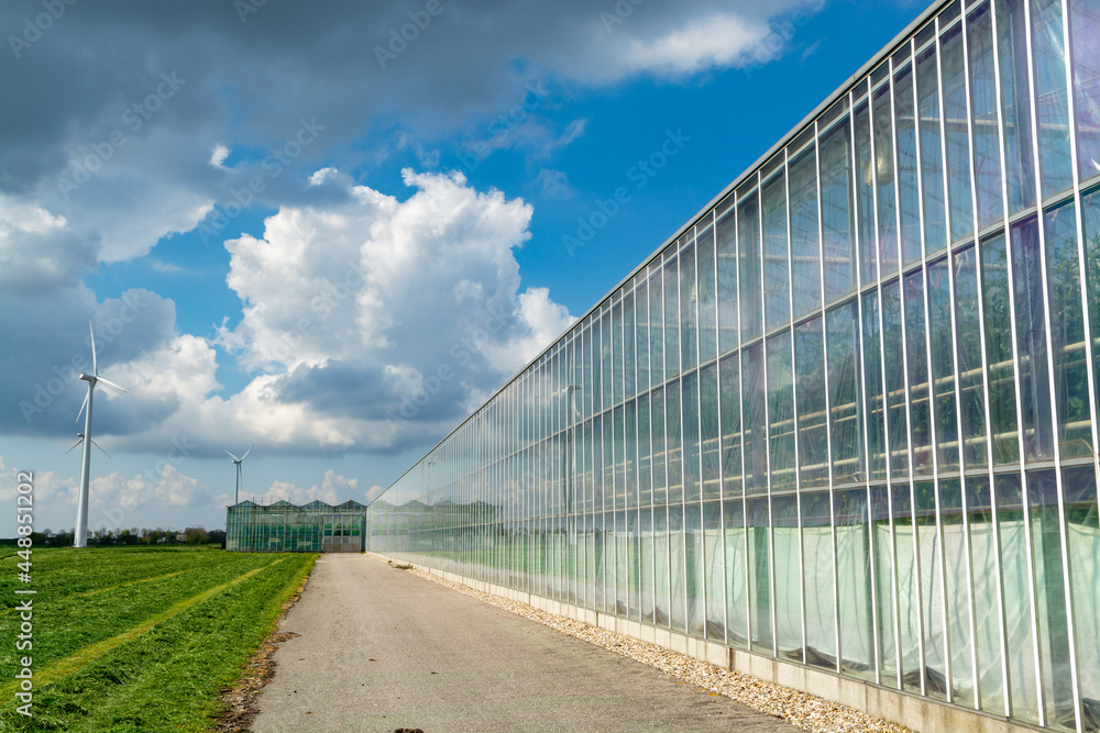 Agriculture in Netherlands, big glass greenhouses used for growing organic vegetables and fruits, Zeeland Agriculture in Netherlands, big glass greenhouses used for growing organic vegetables and fruits, Zeeland