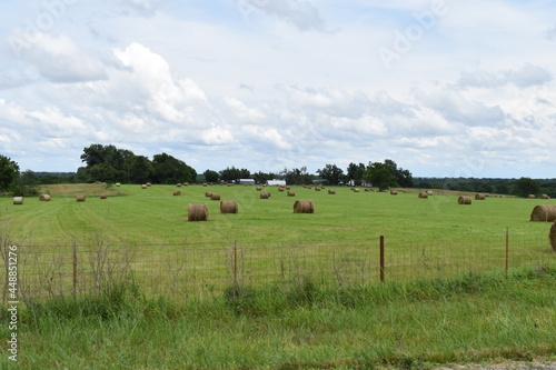 Hay Field