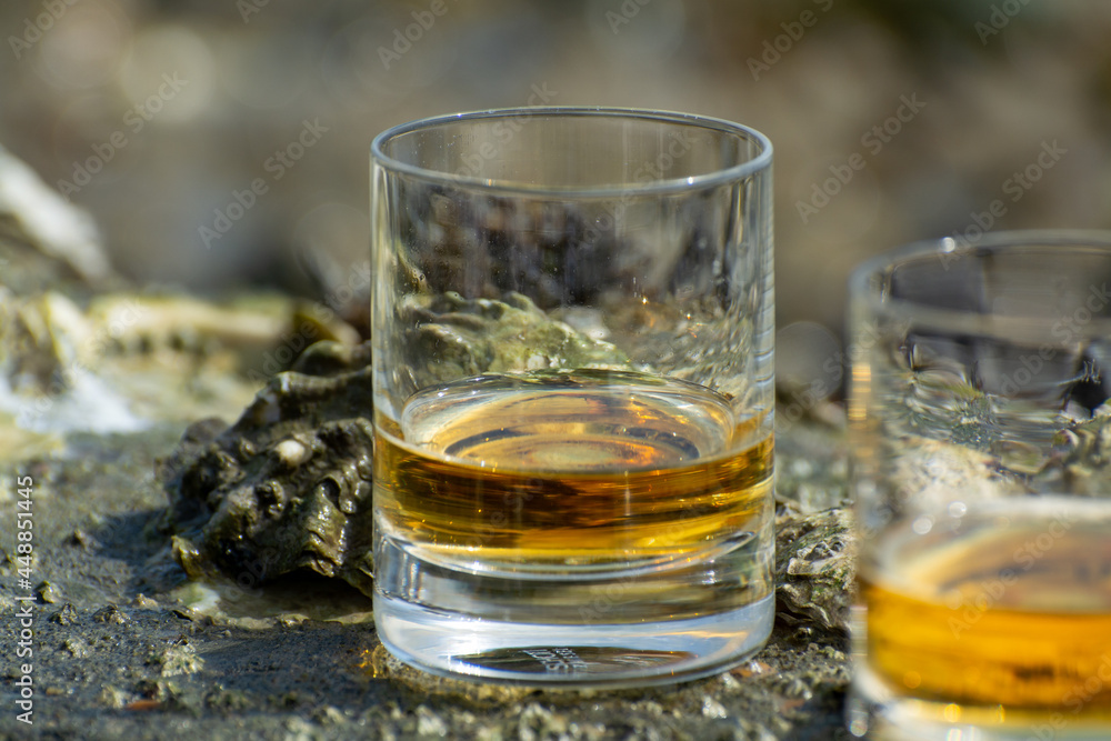 Tasting of single malt or blended Scotch whisky and seabed at low tide with algae, stones and oysters on background, private whisky tours in Scotland, UK Tasting of single malt or blended Scotch whisky and seabed at low tide with algae, stones and oysters on background, private whisky tours in Scotland, UK