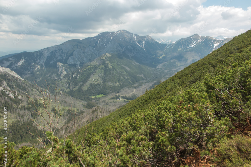 Fototapeta premium View from the Ornak ridge towards the High Tatras