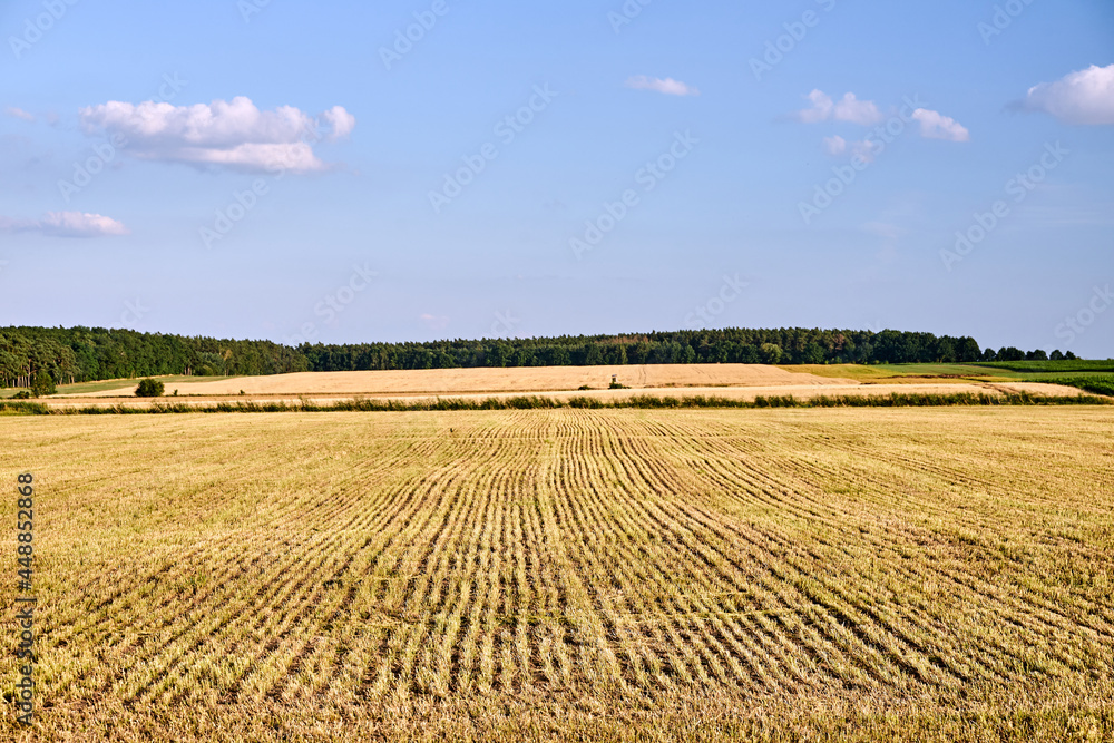 Rural landscape with stubble during summer