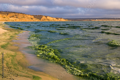 Blooming water of the Tsimlyansk reservoir photo
