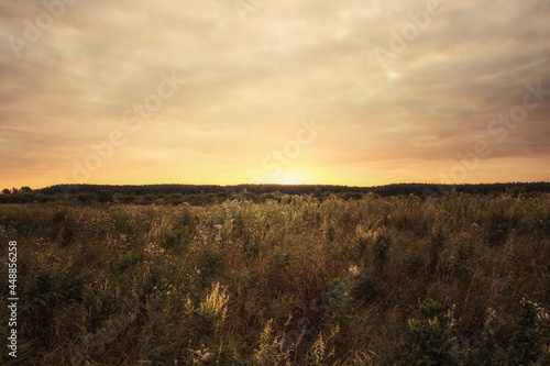 Beautiful sunrise scenery over rural field with dramatic orange sky and forest on horizon 