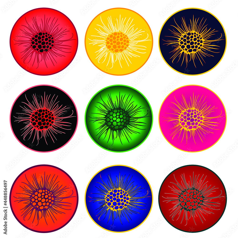 abstract flower virus cornoa