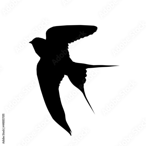 Silhouette of a swallow on white background.
Silhouette of a flying bird