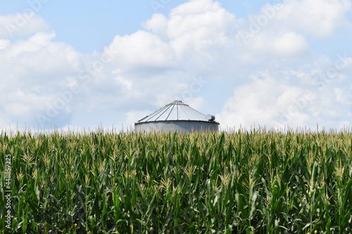 Grain Bin in a Corn Field