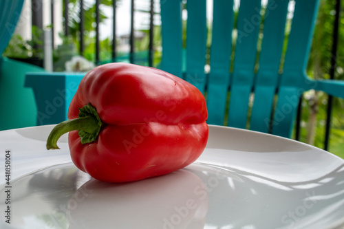 Red Bell Pepper from my Balcony Garden