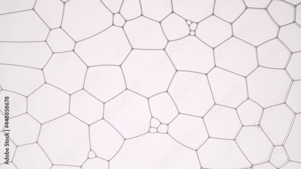Purple fluid flows between different sized light violet bubbles making them move and filling the space among them | Background shot for skin care cosmetics with hyaluronic acid commercial Purple fluid flows between different sized light violet bubbles making them move and filling the space among them | Background shot for skin care cosmetics with hyaluronic acid commercial