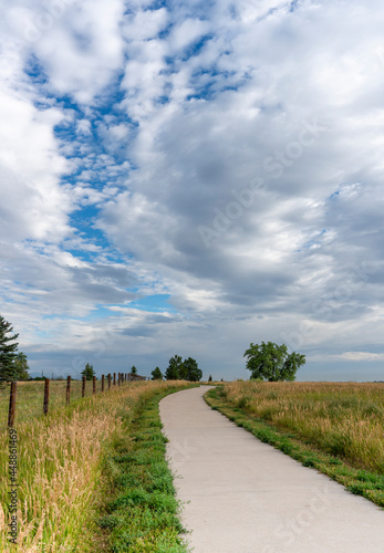 Paved Winding Pathway Along Meadow with Cloud Formations in Sky