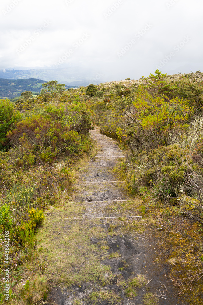 Trail at Páramo de Chingaza, Colombia