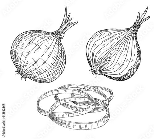 Whole, half and slice onion. Vintage vector hatching black illustration. Isolated on white