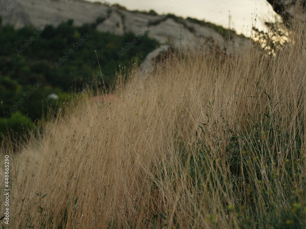 red-haired woman on the mountains walk vacation lifestyle red-haired woman on the mountains walk vacation lifestyle