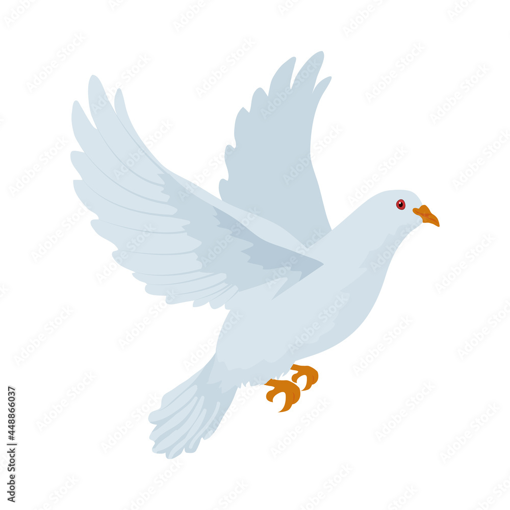 Fototapeta premium white dove icon