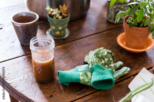 Coffee, gardening gloves and houseplants on table photo