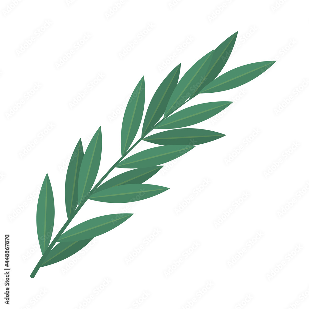 Fototapeta premium olive branch icon