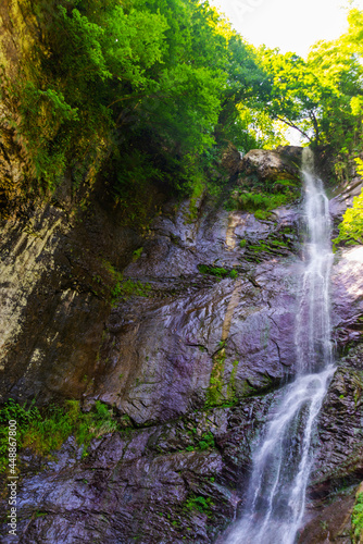 BATUMI, GEORGIA: Makhuntseti or Mahuntseti waterfall. This is one of the highest waterfalls in Adjara.
