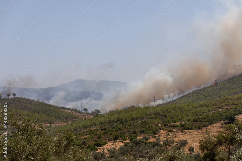 Forest fire at at Mugla Bodrum Turkey Summer 2021